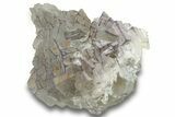Purple Edge Fluorite Crystal Cluster - Qinglong Mine, China #255753-1